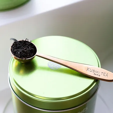 Ibis Sud Saint Charles Perpignano