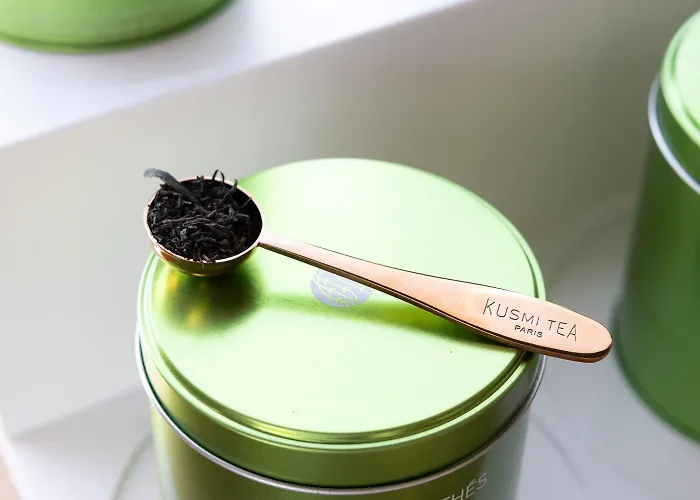 Ibis Sud Saint Charles Perpignano